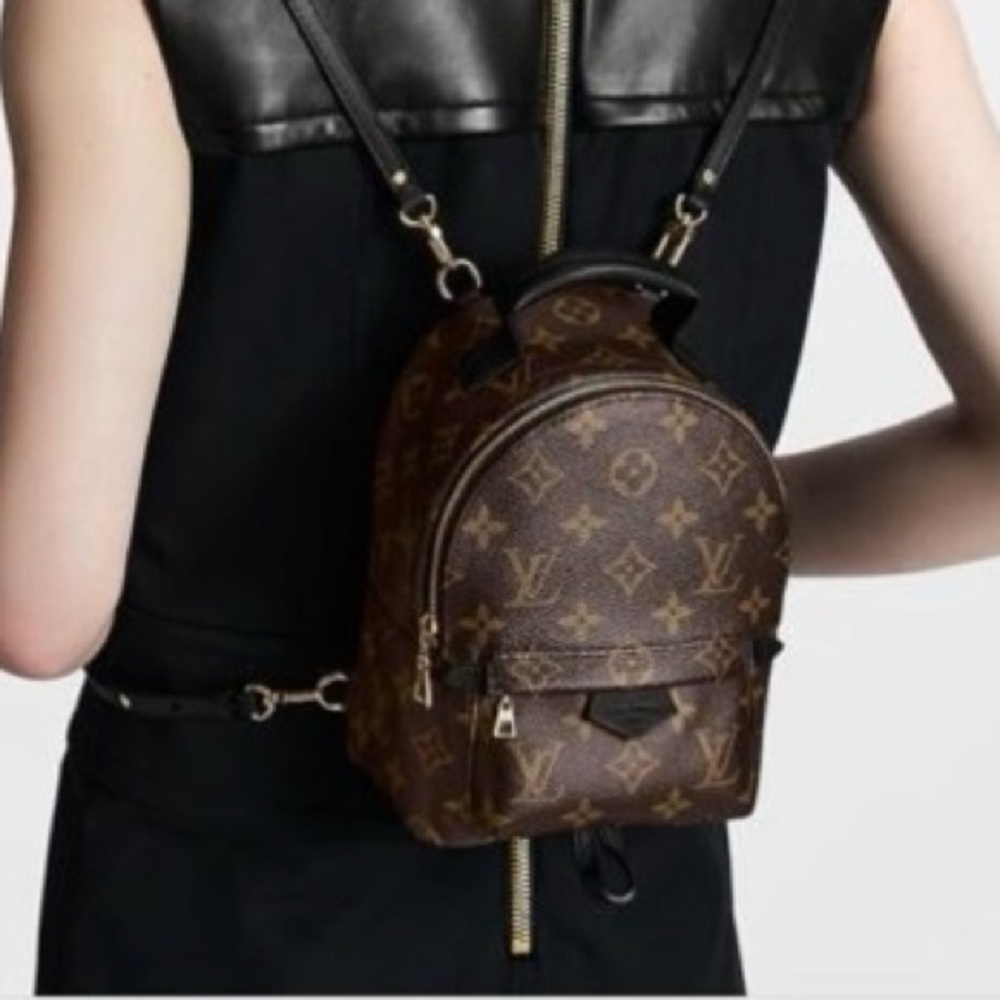 Louis Vuitton Palm Springs backpack